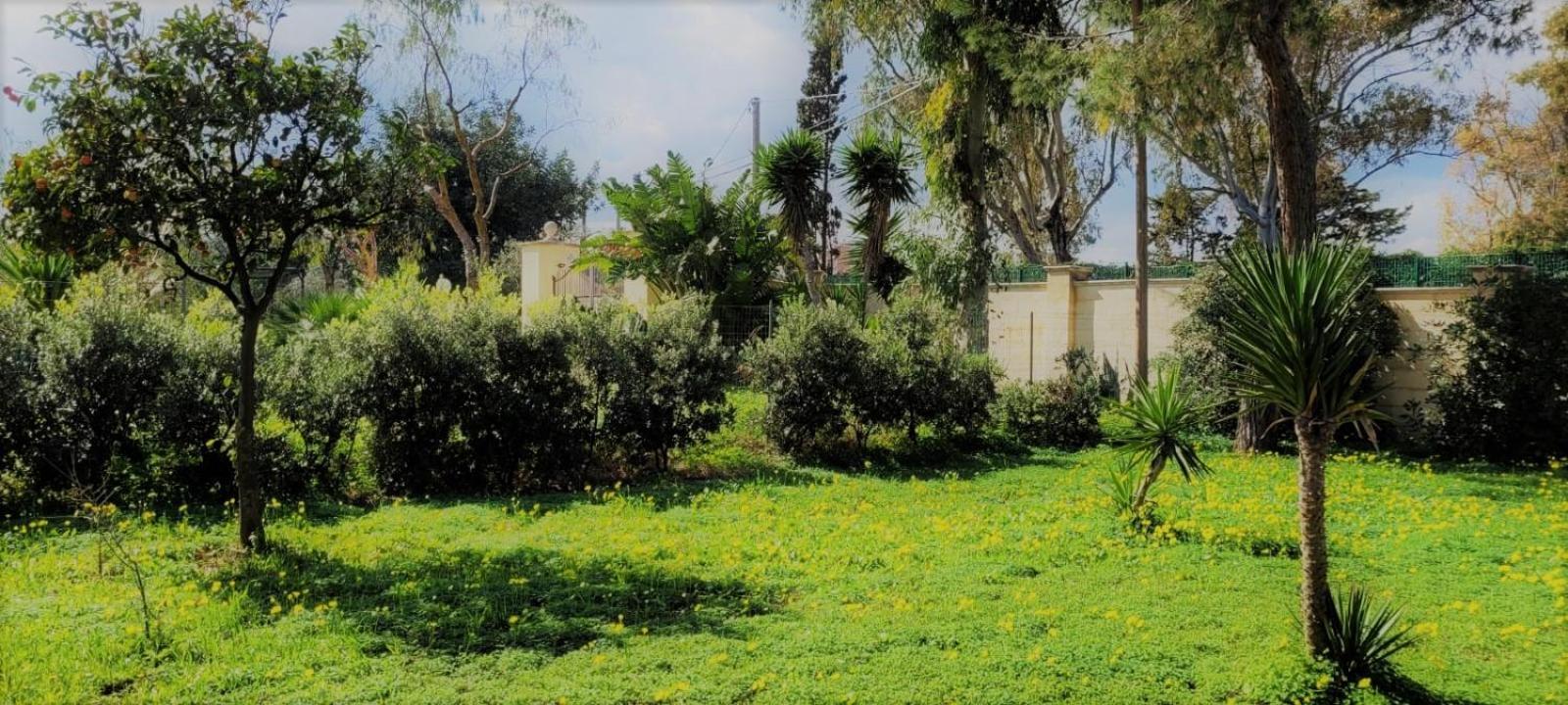 Villa Laura Μπάρι Εξωτερικό φωτογραφία
