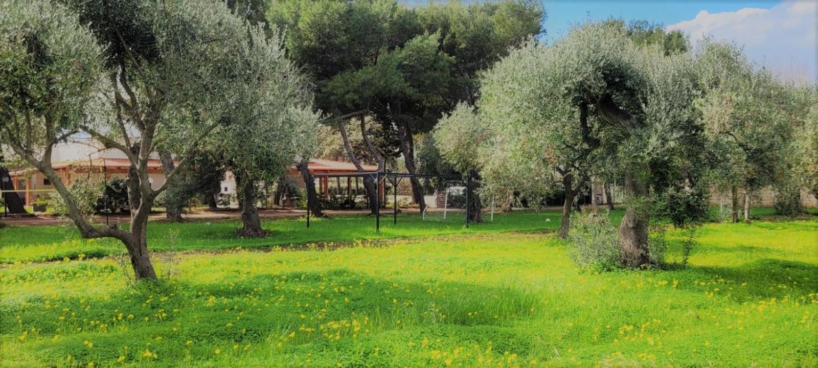 Villa Laura Μπάρι Εξωτερικό φωτογραφία