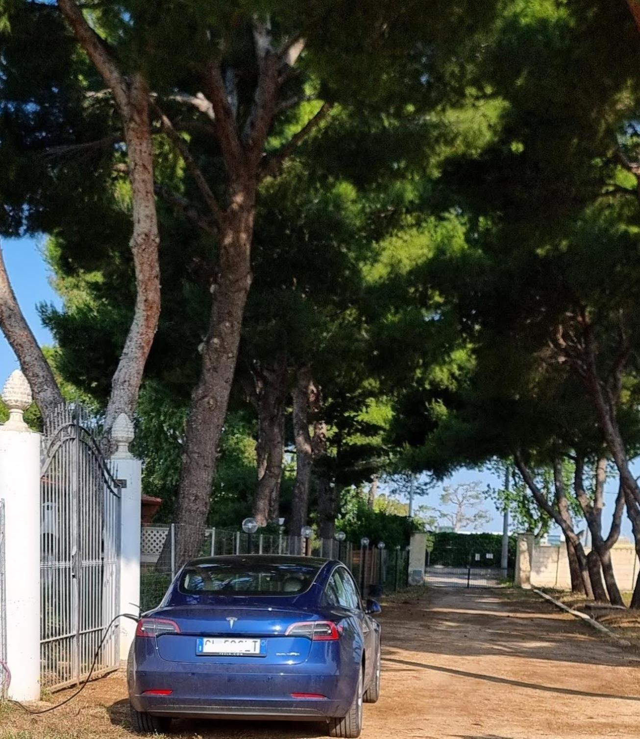 Villa Laura Μπάρι Εξωτερικό φωτογραφία